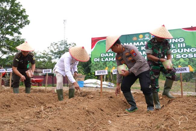 Tanam Jagung Serentak Kuartal III di Balangan. foto: MC Balangan