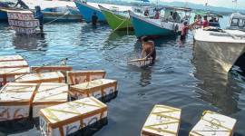Nelayan membawa hasil tangkapan ikan ke dermaga Tempat Pelelangan Ikan (TPI) Sodoha, Kendari, Sulawesi Tenggara, Rabu (23/10/2024). Kementerian Kelautan dan Perikanan (KKP) mengajak seluruh Pemerintah Daerah memanfaatkan Dana Alokasi Khusus (DAK) Bidang Kelautan dan Perikanan untuk mendukung implementasi kebijakan Ekonomi Biru. (Dok ANTARA FOTO/Andry Denisah)