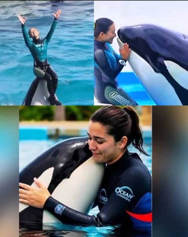 Tangkapan layar pelatih lumba-lumba Jessica Radcliffe. (FOTO: Istimewa)