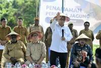 Menteri Koperasi (Menkop) Budi Arie Setiadi saat mengunjungi Kampung Bumi Raya, Kabupaten Nabire, Papua Tengah, Senin (11/8/2025). (ANTARA/HO-Kemenkop RI)