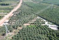 Bagian dari SUTT 150 kV Kendawangan-Sukamara. (Dok ANTARA/HO-PLN)