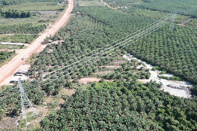 Bagian dari SUTT 150 kV Kendawangan-Sukamara. (Dok ANTARA/HO-PLN)