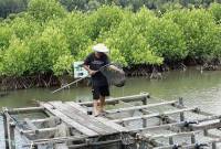 Seorang petambak di Desa Muara Badak Ulu melakukan aktivitasnya dengan penerapan silvofihery. (ANTARA/HO-Dok Unmul)