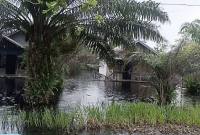 Kondisi banjir di Kelurahan Basirih Hilir, Kecamatan Mentaya Hilir Selatan, Kabupaten Kotawaringin Timur, Kalimantan Tengah Selasa (16/9/2025). (SI/ANTARA/Dok BPBD Kotim)
