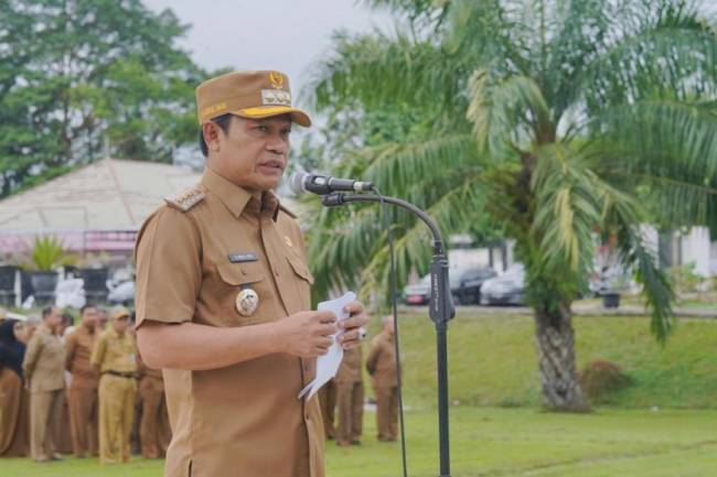 Bupati Balangan, Abdul Hadi