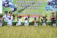 Pemerintah Kabupaten Tabalong menggelar panen raya serentak pada 12 Kecamatan di Tabalong, Provinsi Kalimantan Selatan, beberapa waktu lalu. (SuarIndonesia/Dok MC Kalsel)