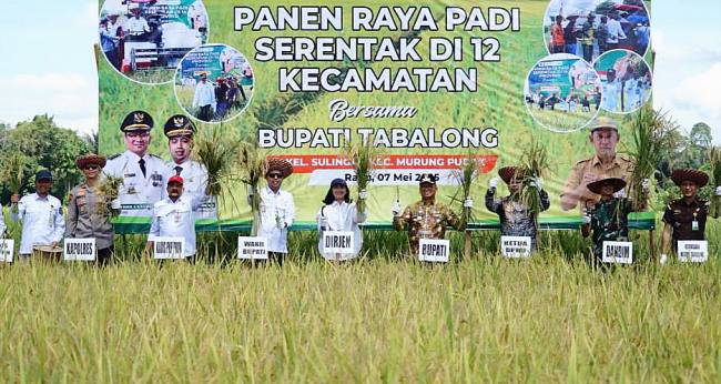 Pemerintah Kabupaten Tabalong menggelar panen raya serentak pada 12 Kecamatan di Tabalong, Provinsi Kalimantan Selatan, beberapa waktu lalu. (SuarIndonesia/Dok MC Kalsel)