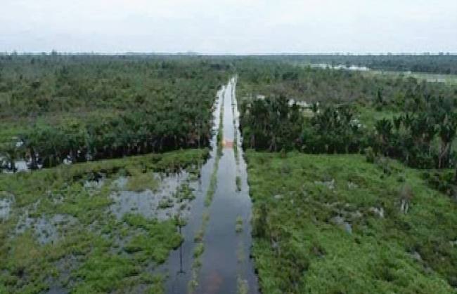 Kawasan kampung Desa Pancaroba saat tergenang banjir pada Januari 2025 lalu. (SI/ANTARA/Dok Aman Kalbar)