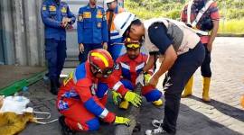 Disdamkarmat Kotim bersama Komunitas Reptil Sampit mengevakuasi seekor trenggiling yang terkurung dalam peti kemas di TPK Bagendang, Rabu (1/1/2025). (SI/ANTARA/Dok Pelindo TPK Bagendang)