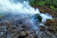 Kebakaran lahan di Gang Rambutan Jalan Mohammad Hatta, Kotawaringin Timur (15/9/2025). (ANTARA/DOK BPBD Kotim)