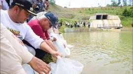 Program kegiatan tebar benih ikan yang dilakukan Otorita IKN di embung yang ada di KIPP IKN sebagai upaya penguatan ketahanan pangan protein hewani. (SI/DOK Humas OIKN)