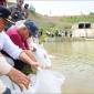 Program kegiatan tebar benih ikan yang dilakukan Otorita IKN di embung yang ada di KIPP IKN sebagai upaya penguatan ketahanan pangan protein hewani. (SI/DOK Humas OIKN)