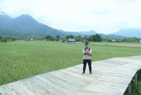 Kawasan Agro-eduwisata Sawah Nyarumkop di Singkawang, Kalbar. (ANTARA/Narwati)