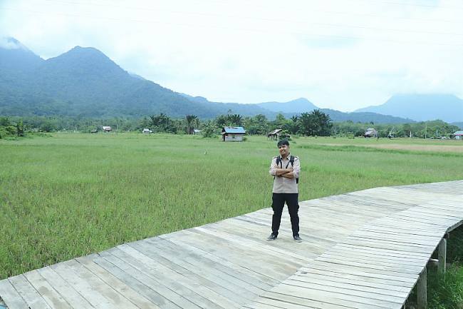 Kawasan Agro-eduwisata Sawah Nyarumkop di Singkawang, Kalbar. (ANTARA/Narwati)