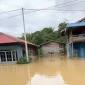 Sejumlah rumah di Desa Bajuh Kecamatan Kapuas Tengah terendam banjir, Senin (6/10/2025). (ANTARA/SI/Dokumen Pribadi)