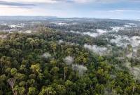 Hutan Lindung Sungai Wain di Balikpapan, Kalimantan Timur. (Foto: dok sungaiwain.org)