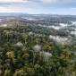 Hutan Lindung Sungai Wain di Balikpapan, Kalimantan Timur. (Foto: dok sungaiwain.org)