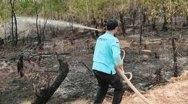 Pemerintah Provinsi Kalimantan Selatan melalui Dinas Sosial Provinsi Kalimantan Selatan memastikan bahwa kesiapsiagaan tetap dilakukan meski status siaga darurat kebakaran hutan dan lahan (karhutla) telah dicabut pada akhir September 2025. (SI/ANTARA/Dok Pemprov Kalsel)