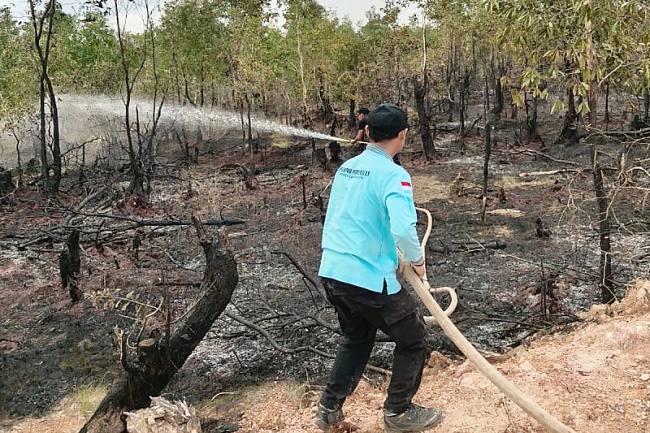 Pemerintah Provinsi Kalimantan Selatan melalui Dinas Sosial Provinsi Kalimantan Selatan memastikan bahwa kesiapsiagaan tetap dilakukan meski status siaga darurat kebakaran hutan dan lahan (karhutla) telah dicabut pada akhir September 2025. (SI/ANTARA/Dok Pemprov Kalsel)