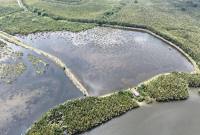 Foto udara kawasan mangrove di Delta Mahakam, Kutai Kartanegara, Kaltim. (Foto: M4CR)