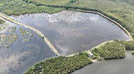 Foto udara kawasan mangrove di Delta Mahakam, Kutai Kartanegara, Kaltim. (Foto: M4CR)