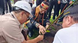 Menteri Agama (Menag) Republik Indonesia Nasaruddin Umar menanam pohon di lingkungan IAHN Tampung Penyang Palangka Raya, Kalimantan Tengah, Kamis (6/11/2025). ANTARA/M Arif Hidayat)