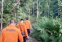 Tim SAR gabungan menyisir kawasan hutan dalam proses pencarian balita yang diduga hilang di Desa Malinau, Loksado, Kabupaten Hulu Sungai Selatan, Kalimantan Selatan, Jumat (7/11/2025). (SI/DOK SAR Banjarmasin)