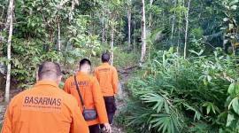 Tim SAR gabungan menyisir kawasan hutan dalam proses pencarian balita yang diduga hilang di Desa Malinau, Loksado, Kabupaten Hulu Sungai Selatan, Kalimantan Selatan, Jumat (7/11/2025). (SI/DOK SAR Banjarmasin)