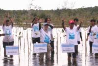 KLH bersama Pemprov Kalsel dan kelompok tani melaksanakan penanaman mangrove. Foto : MC Kalsel