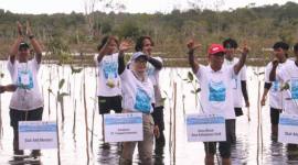 KLH bersama Pemprov Kalsel dan kelompok tani melaksanakan penanaman mangrove. Foto : MC Kalsel