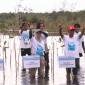 KLH bersama Pemprov Kalsel dan kelompok tani melaksanakan penanaman mangrove. Foto : MC Kalsel