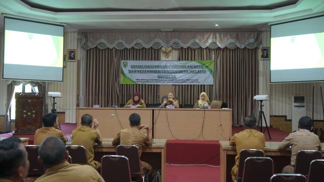Teks foto :  : Sosialisasi ketahanan pangan desa melalui BUMDesa. di Balangan foto: MC Balangan