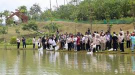 Sejumlah orang menebarkan benih ikan di salah satu badan air di KIPP IKN di Kecamatan Sepaku, Kabupaten Penajam Paser Utara, Provinsi Kalimantan Timur. (Foto: Antara/Nyaman Bagus P)