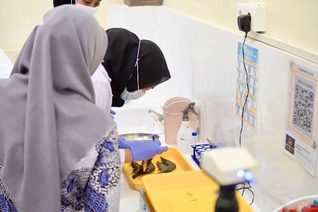 Tim Asesor Komite Akreditasi Nasional (KAN) saat melakukan surveilans kelaikan laboratorium milik Balai Karantina Hewan, Ikan, dan Tumbuhan Provinsi Kalsel di Banjarmasin, Kalimantan Selatan, beberapa waktu lalu. (SI/ANTARA/DOK Karantina Kalsel)