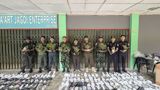 Tim Gabungan patroli perbatasan mengamankan ratusan tanaman tanduk rusa yang akan di selundupkan ke Malaysia. (Foto: SI/ANTARA/Dok Tim Gabungan Patroli Perbatasan)