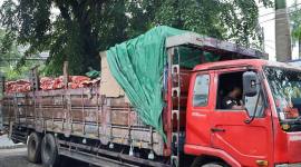 
Petugas Beacukai Kalbagbar mengamankan 1 truk bawang bombai ilegal di pelabuhan Dwikora Pontianak. (ANTARA/Rendra Oxtora)