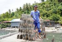 Kegiatan budi daya mutiara di Pulau Lemukutan dan Pulau Penata Besar, yang dinilai melanggar aturan karena berada di zona inti Kawasan Konservasi Perairan Daerah (KKPD) Kabupaten Bengkayang, Kalimantan Barat. (SI/ANTARA/Dok Humas PSDKP)