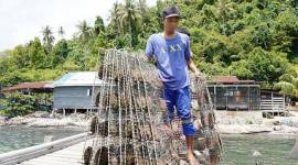 Kegiatan budi daya mutiara di Pulau Lemukutan dan Pulau Penata Besar, yang dinilai melanggar aturan karena berada di zona inti Kawasan Konservasi Perairan Daerah (KKPD) Kabupaten Bengkayang, Kalimantan Barat. (SI/ANTARA/Dok Humas PSDKP)