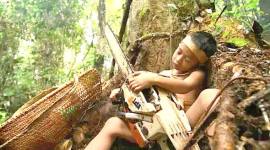 Film The Lost Forest (2025). (Foto: Istimewa)