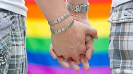 Foto Ilustrasi pasangan sejenis.(AP Photo/DPA, Michael Reichel)