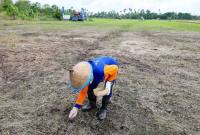 Lahan percontohan pengembangan budi daya padi Gogo di Kecamatan Muara Jawa, Kabupaten Kutai Kartanegara, Provinsi Kalimantan Timur (Foto: Dok Humas OIKN)
