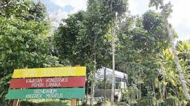 Taman Biodiversitas pada hutan hujan tropis di Lembah Bukit Manjai, Mandiangin, Kabupaten Banjar jadi kawasan penyangga sumber daya alam hayati lokal di luar kawasan hutan yang mempunyai fungsi konservasi. (Foto: Antara)
