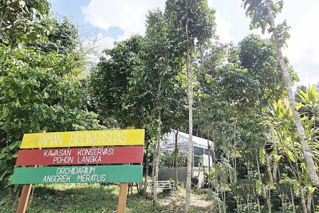 Taman Biodiversitas pada hutan hujan tropis di Lembah Bukit Manjai, Mandiangin, Kabupaten Banjar jadi kawasan penyangga sumber daya alam hayati lokal di luar kawasan hutan yang mempunyai fungsi konservasi. (Foto: Antara)