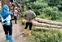 Petugas KPH Tanah Laut saat mengamankan puluhan kayu ilegal loging di kawasan hutan Desa Riam Adungan, Kecamatan Kintap, Kabupaten Tanah Laut, Kalimantan Selatan, beberapa waktu lalu. (Foto: Dok Dishut Kalsel)