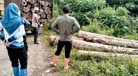 Petugas KPH Tanah Laut saat mengamankan puluhan kayu ilegal loging di kawasan hutan Desa Riam Adungan, Kecamatan Kintap, Kabupaten Tanah Laut, Kalimantan Selatan, beberapa waktu lalu. (Foto: Dok Dishut Kalsel)