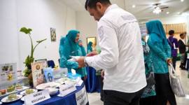 Lomba Masak Serba Ikan (LMSI) Tingkat Kabupaten Balangan dengan tema 