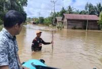 Banjir rendam 3 desa di Kotawaringin Timur, Kalteng. (Foto: Dok BPBD Kotim)