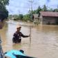 Banjir rendam 3 desa di Kotawaringin Timur, Kalteng. (Foto: Dok BPBD Kotim)