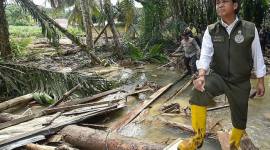 Menteri Kehutanan Raja Juli Antoni berdiri di atas tumpukan kayu yang hanyut saat meninjau proses pencarian korban banjir bandang di Pasak Kayu, Nagari Salareh Aia, Palembayan, Agam, Sumatera Barat, Minggu (30/11/2025). (Foto: Antara/Wahdi Septiawan)