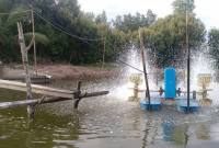 Foto Ilustrasi salah satu tambak di Kabupaten Penajam Paser Utara, Kaltim. (Foto: Dok Antara)